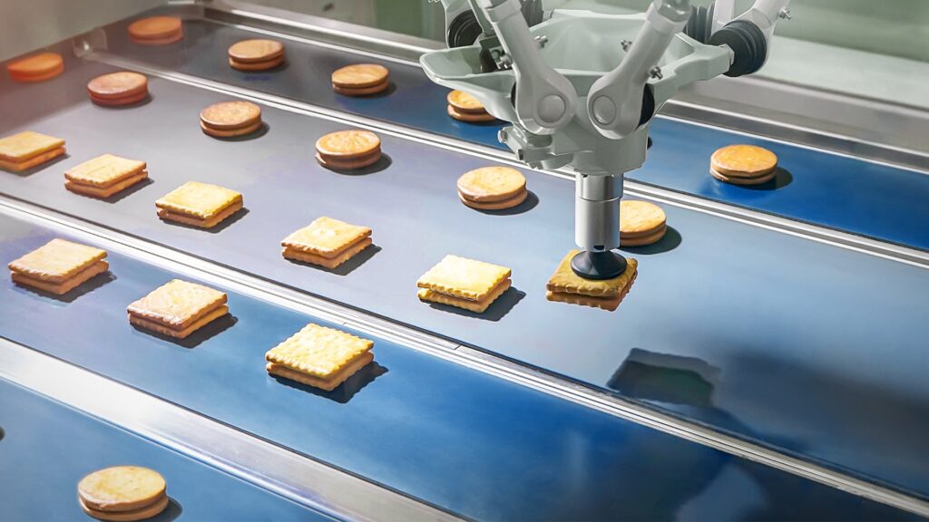 Bandas transportadoras