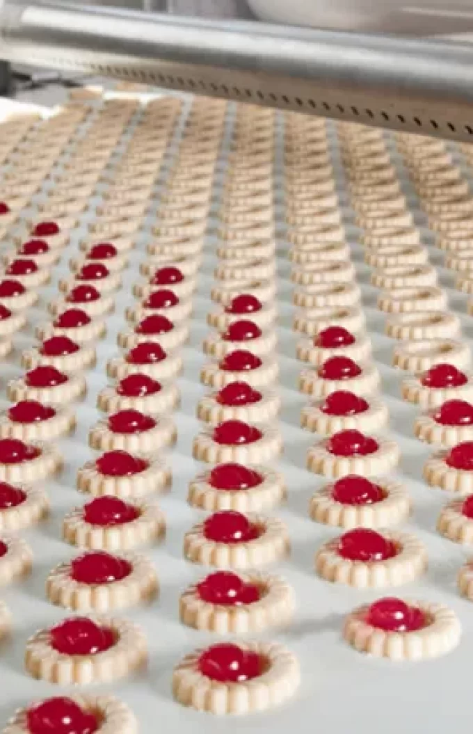 industria alimenticia galletitas 2